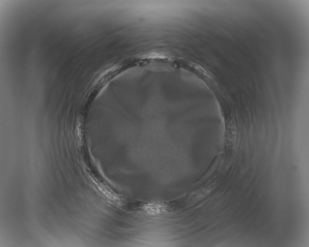 X0000080690762200701051100