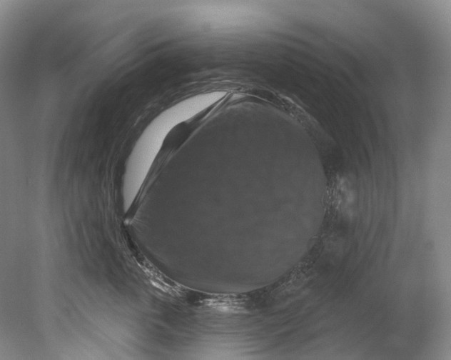 X0000080690763200701051100