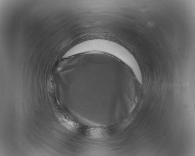 X0000080690766200701051100