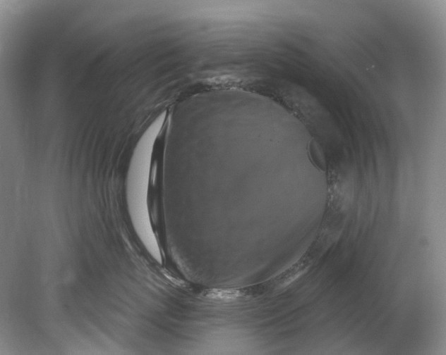 X0000080690767200701051100