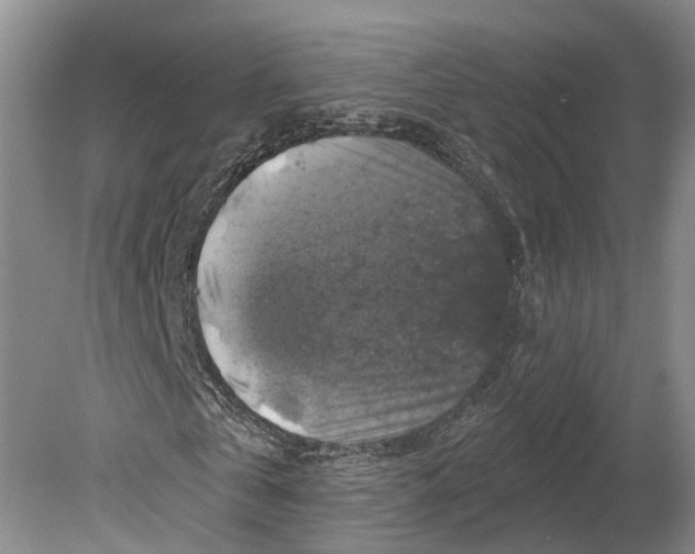 X0000080690769200701051059