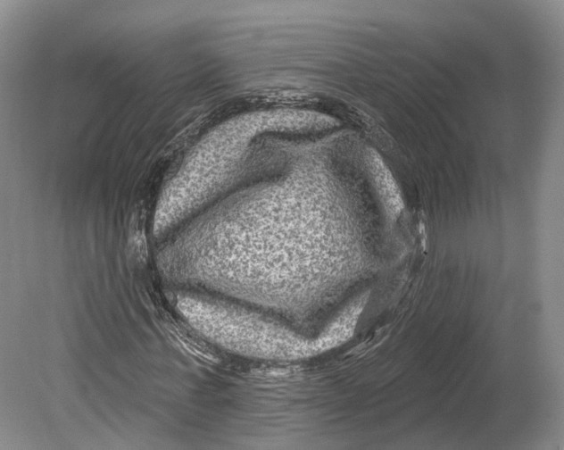 X0000080690771200701051059