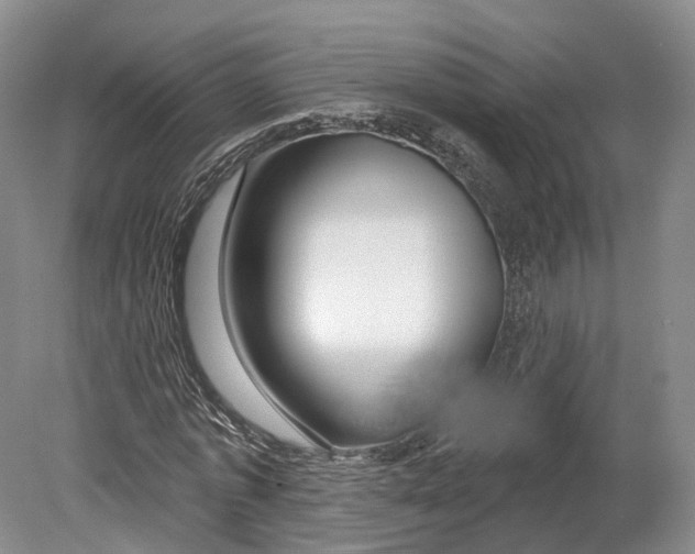 X0000080690773200701051059