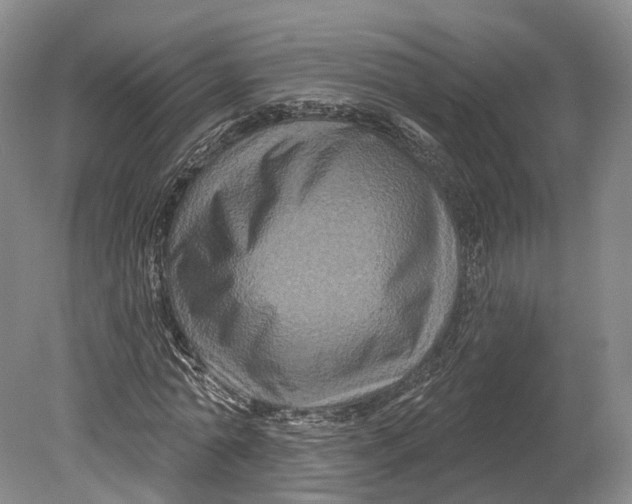 X0000080690774200701051059