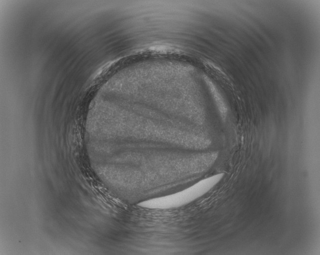 X0000080690776200701051059