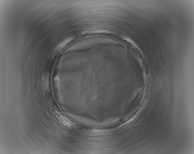 X0000080690777200701051059
