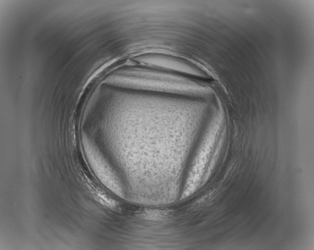 X0000080690782200701051059