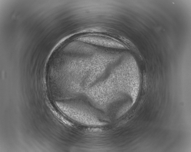 X0000080690784200701051059