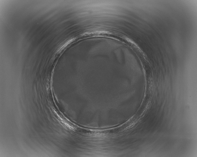 X0000080690785200701051059