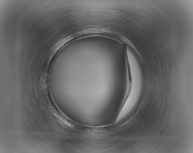 X0000080690786200701051059