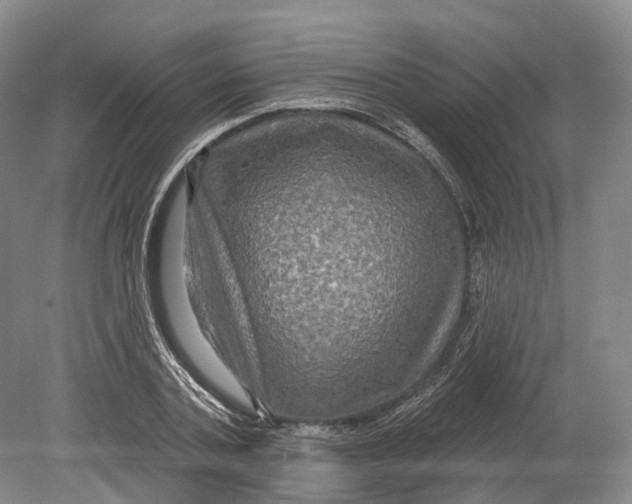 X0000080690787200701051059