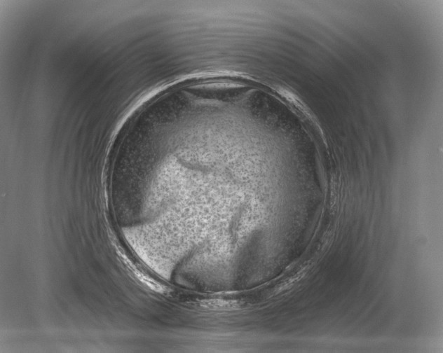X0000080690789200701051059