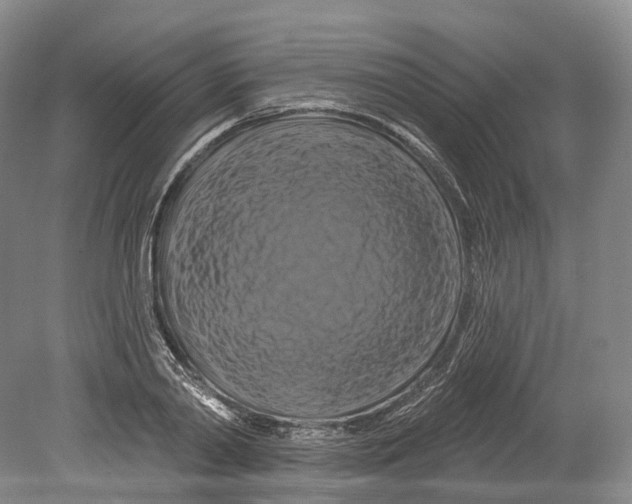 X0000080690790200701051059