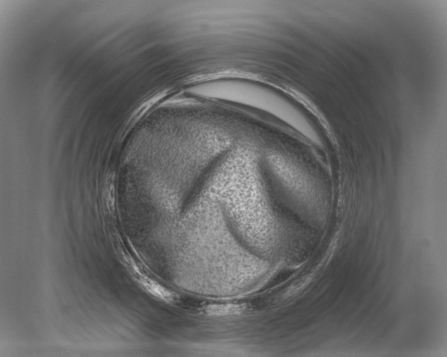 X0000080690793200701051059