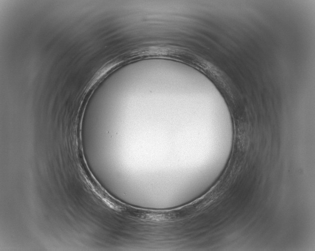 X0000080690794200701051059