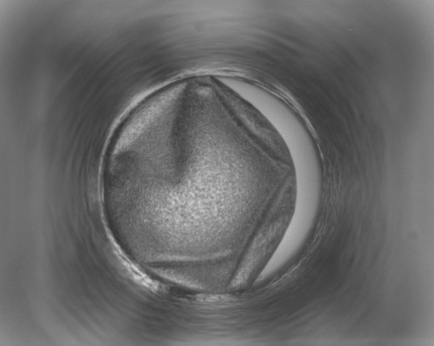 X0000080690795200701051059