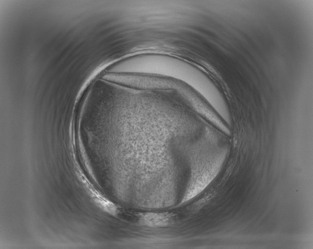 X0000080690796200701051059
