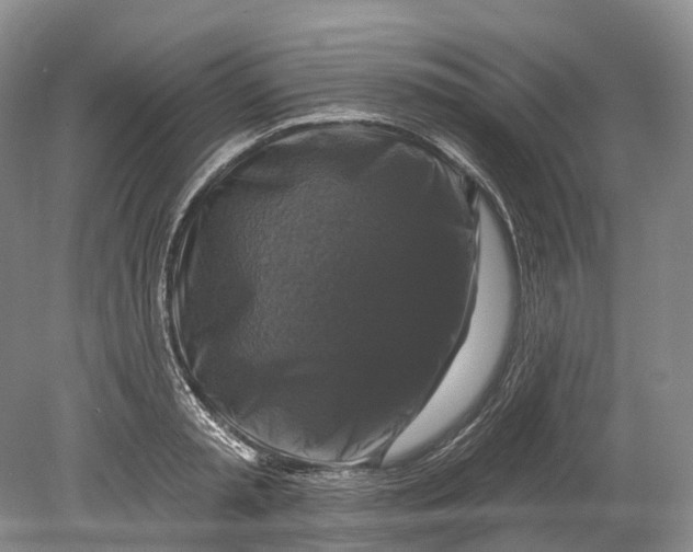 X0000080690797200701051059