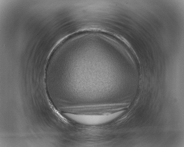 X0000080690799200701051059