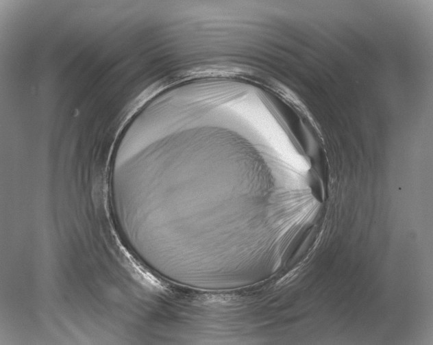 X0000080690802200701051058
