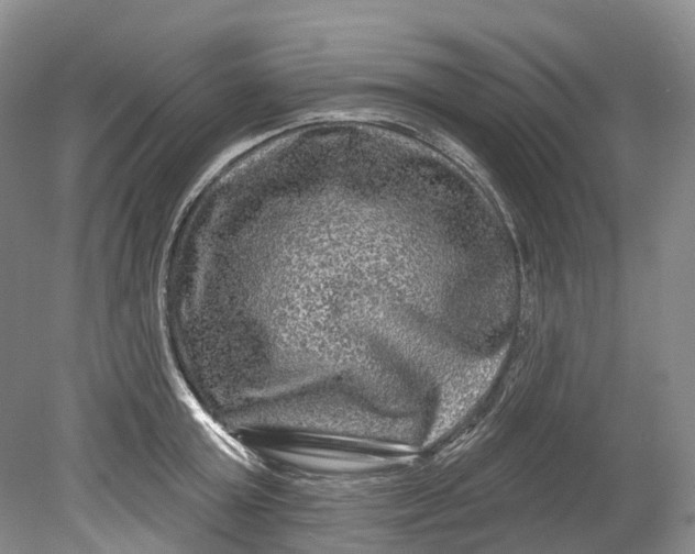 X0000080690803200701051058