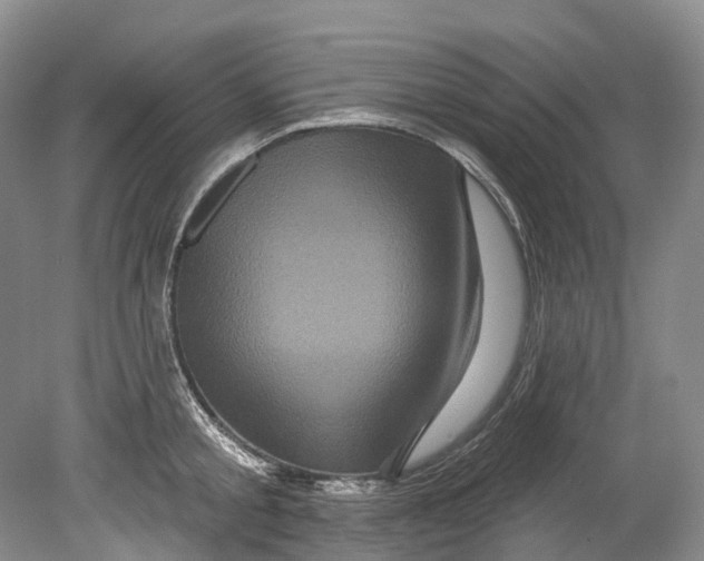 X0000080690805200701051058