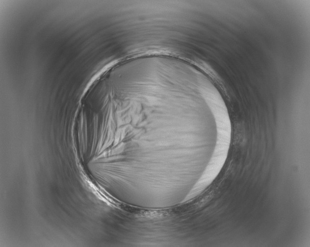 X0000080690806200701051058