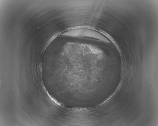 X0000080690809200701051058