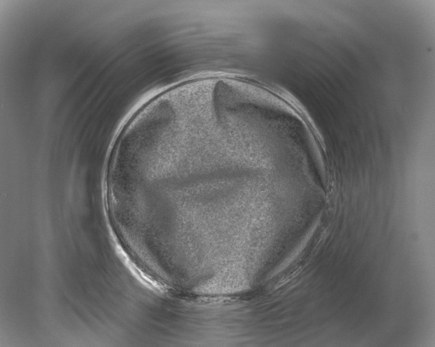 X0000080690811200701051058
