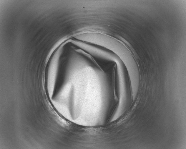 X0000080690812200701051058