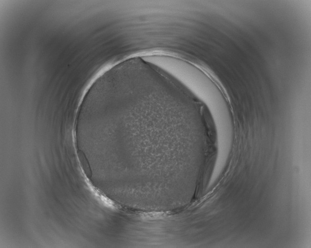 X0000080690813200701051058