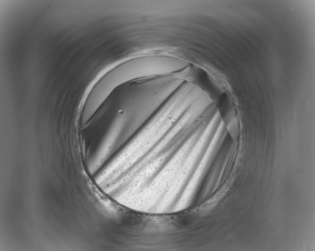 X0000080690816200701051058