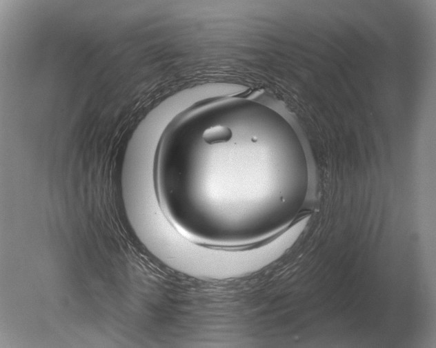 X0000080690818200701051057
