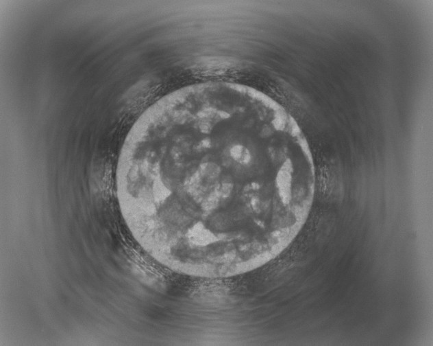X0000080690820200701051058