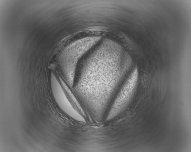 X0000080690821200701051058