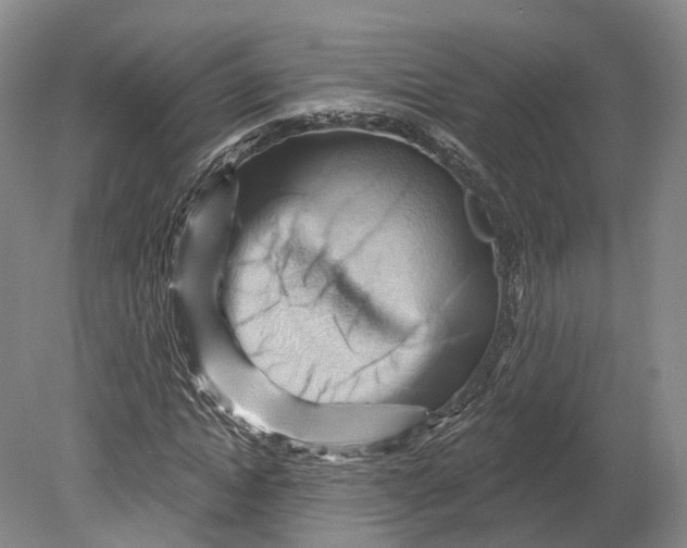 X0000080690822200701051058