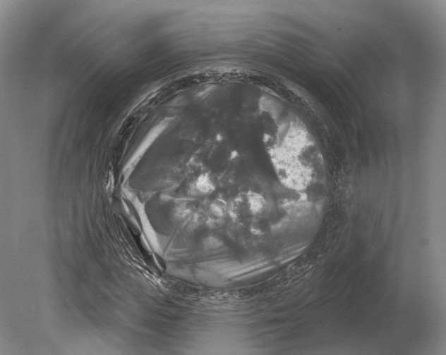 X0000080690823200701051058