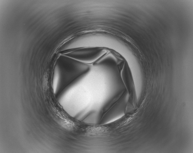 X0000080690826200701051058