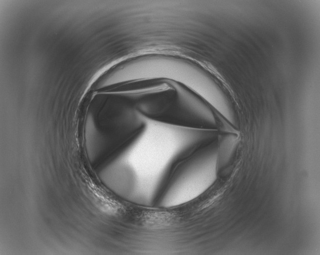 X0000080690830200701051058