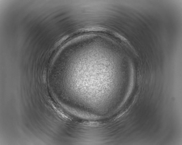 X0000080690833200701051058
