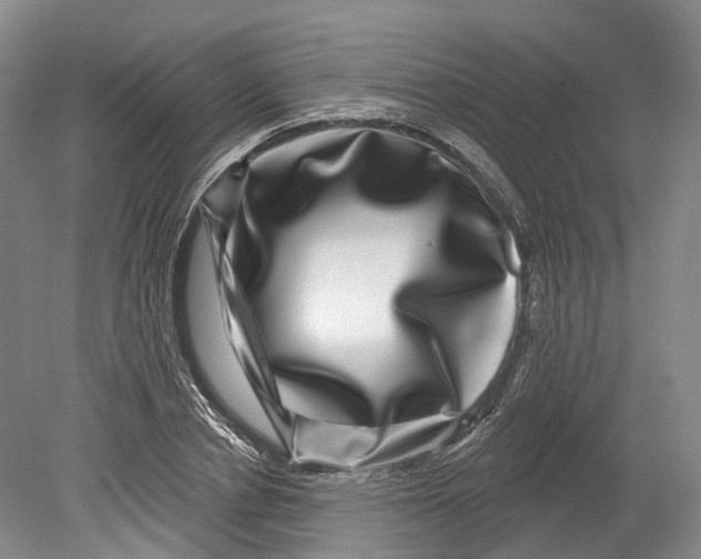 X0000080690834200701051058