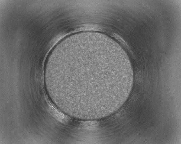 X0000080690836200701051058