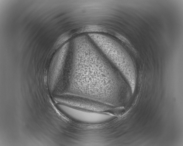 X0000080690841200701051058