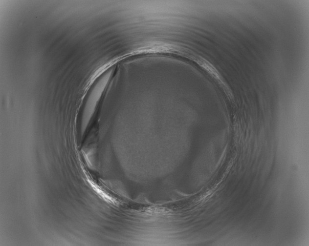 X0000080690842200701051058