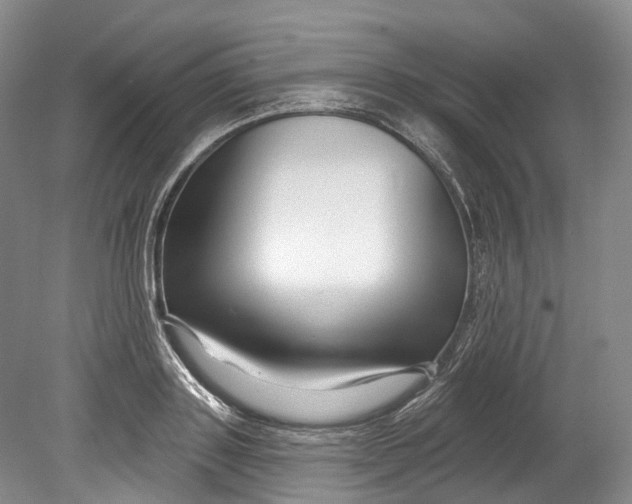 X0000080690843200701051058