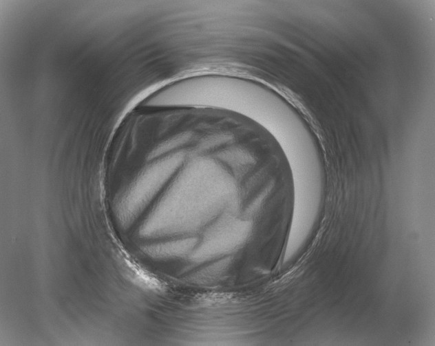 X0000080690846200701051058