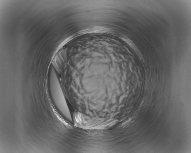 X0000080690850200701051058