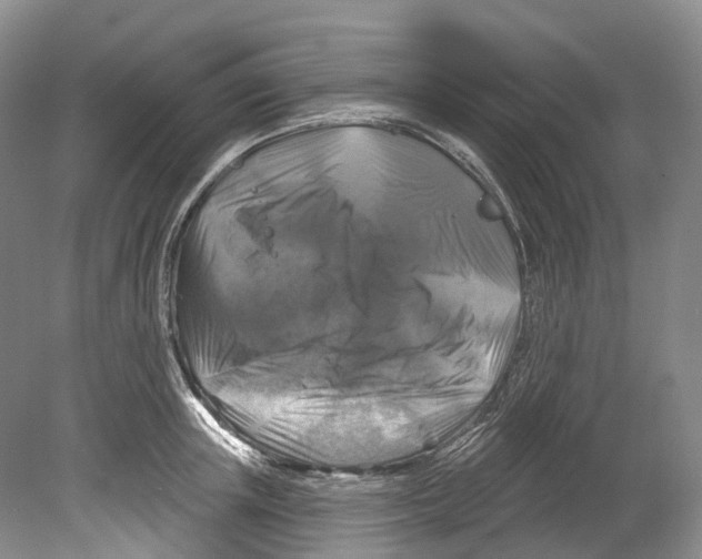 X0000080690851200701051058