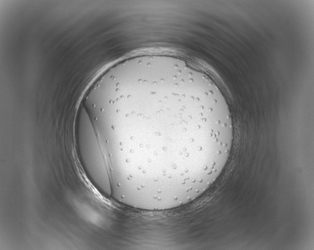 X0000080690852200701051058