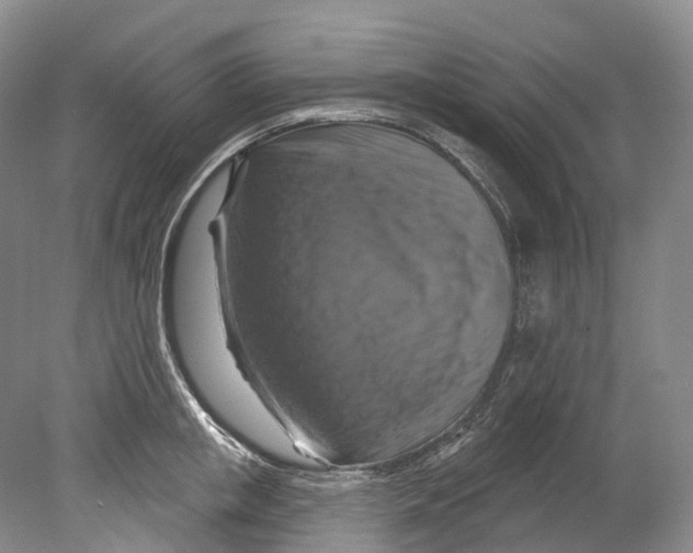 X0000080690853200701051058